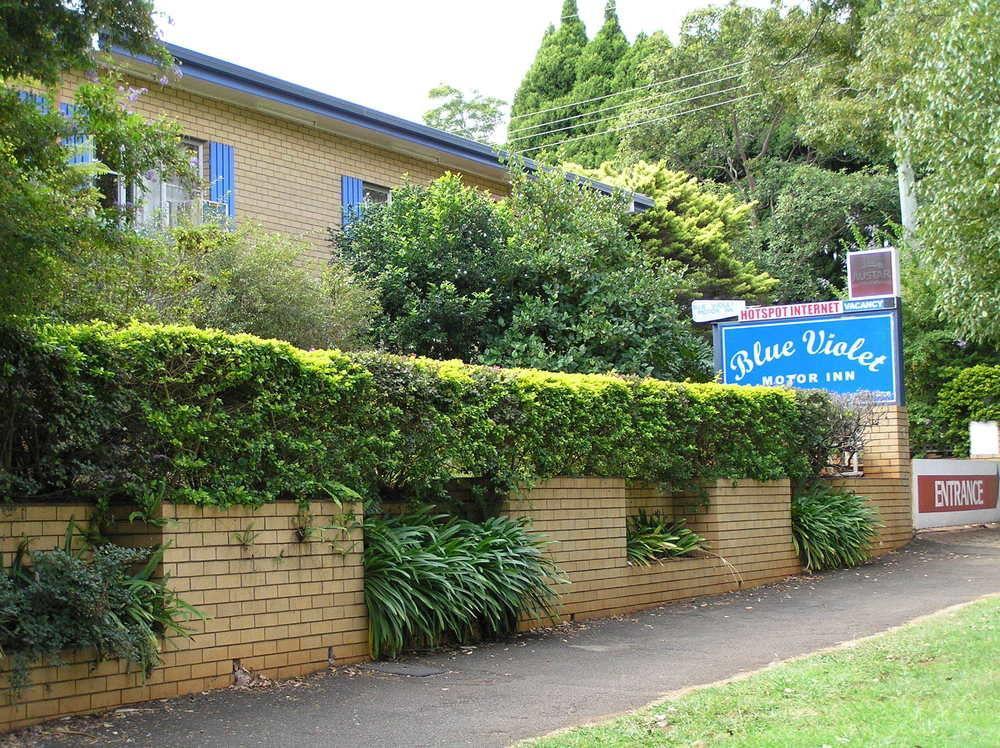 Blue Violet Motor Inn Toowoomba Exteriér fotografie